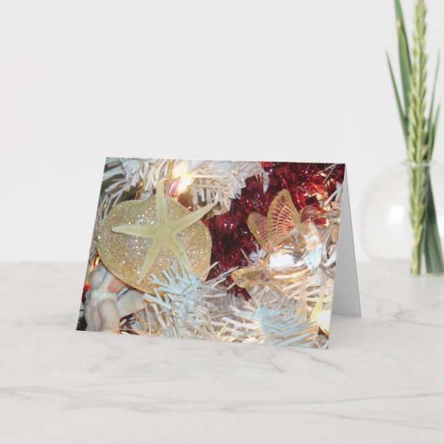 Tarjeta de Navidad de Concha de Playa (Anverso)