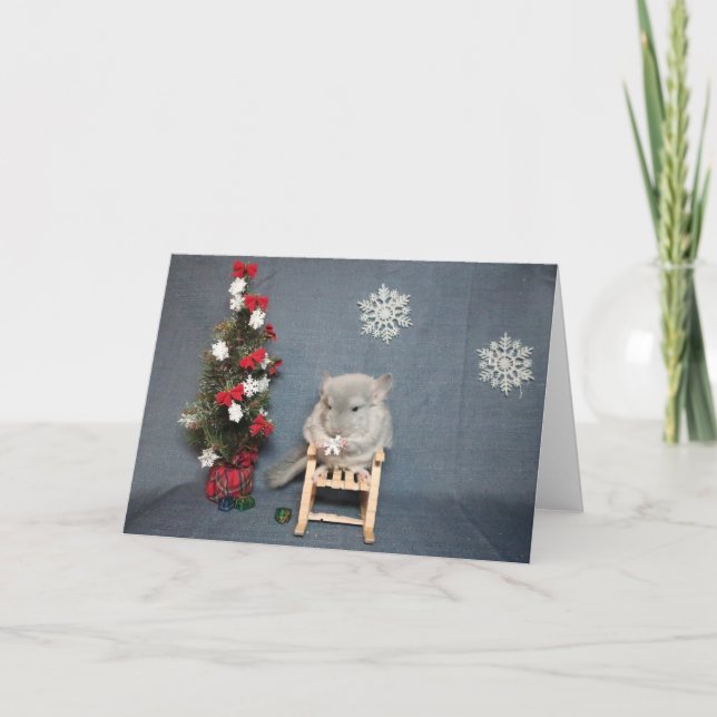 Tarjeta de Navidad de cría de chinchilla sostenien (Anverso)
