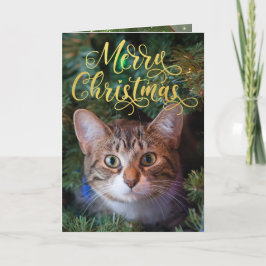 Tarjeta de Navidad de cuatro páginas con foto