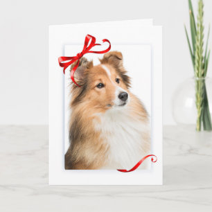 Tarjeta de Navidad de dulce Sheltie