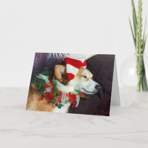 Tarjeta de Navidad de Elfo Corgi Durmiendo
