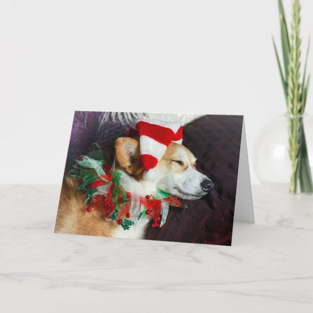 Tarjeta de Navidad de Elfo Corgi Durmiendo (Anverso)