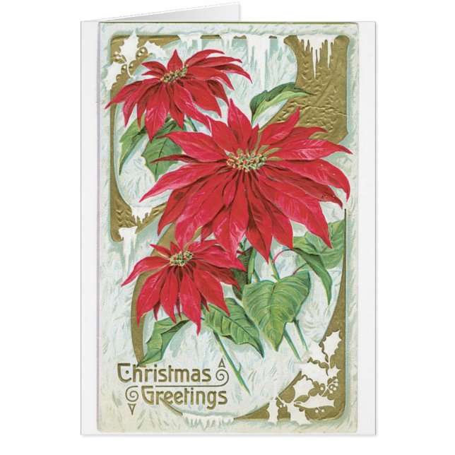 Tarjeta de Navidad de época Poinsettia Flores Roja (Frente)