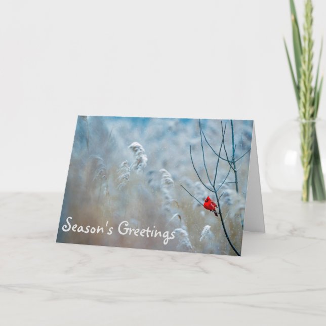 Tarjeta de Navidad de Feliz Navidad del Cardenal (Anverso)