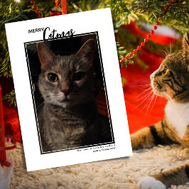 Tarjeta de Navidad de Fotos de Mascotas Merry Catm