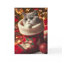 Tarjeta de Navidad de Gato British Shorthair en un