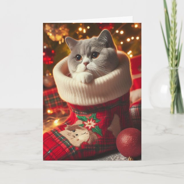 Tarjeta de Navidad de Gato British Shorthair en un (Anverso)