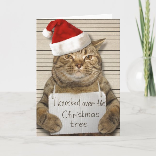 Tarjeta de Navidad de Gato Culpable con sombrero d (Anverso)