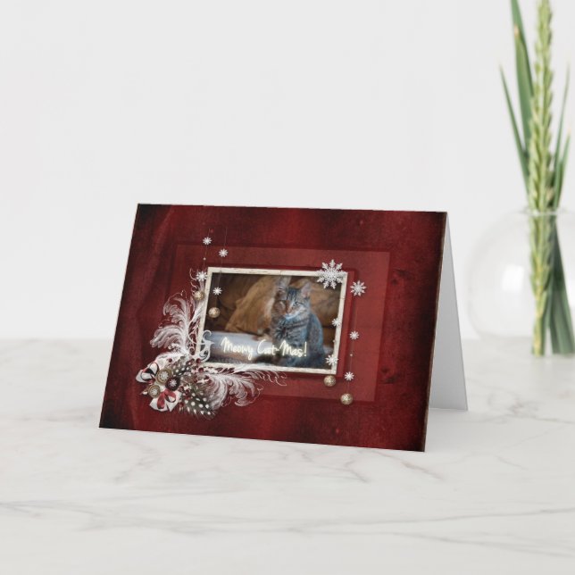 Tarjeta de Navidad de Gato Festivo (Anverso)