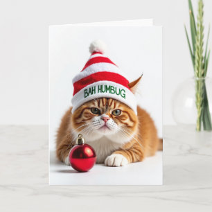 Tarjeta de Navidad de Gato Irritado
