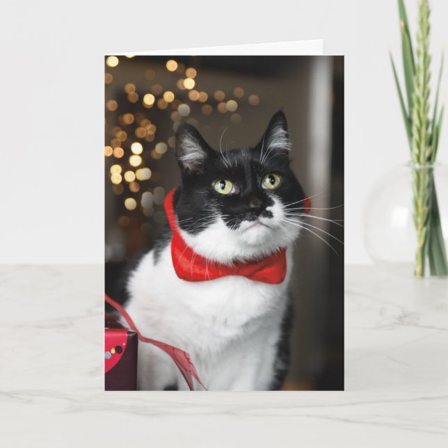 Tarjeta de Navidad de Gato - Meowy Navidad (Anverso)