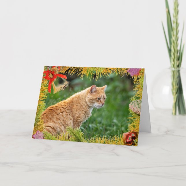 Tarjeta de Navidad de Gato Naranja (Anverso)