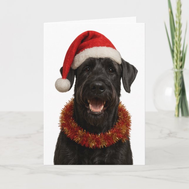 Tarjeta de Navidad de Giant Schnauzer con sombrero (Anverso)