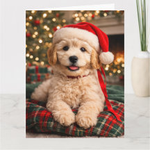 Tarjeta de Navidad de Golden Doodle