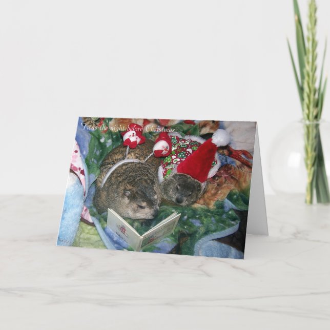 Tarjeta de Navidad de Groundhog (Anverso)