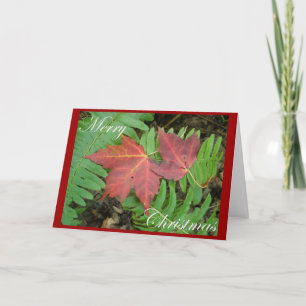 Tarjeta de Navidad de hojas de helecho y arce