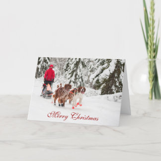 Tarjeta de Navidad de Irish Setter Sleddog