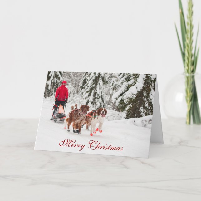 Tarjeta de Navidad de Irish Setter Sleddog (Anverso)