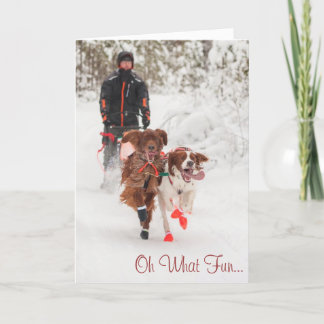 Tarjeta de Navidad de Irish Setter Sleddog