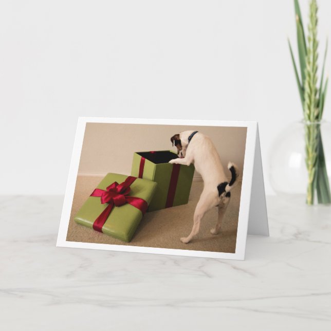 Tarjeta de Navidad de Jack Russell Terrier (Anverso)