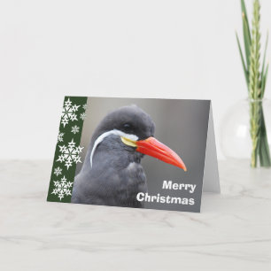 Tarjeta de Navidad de la golondrina de mar del
