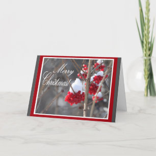 Tarjeta de Navidad de la nieve y de las bayas