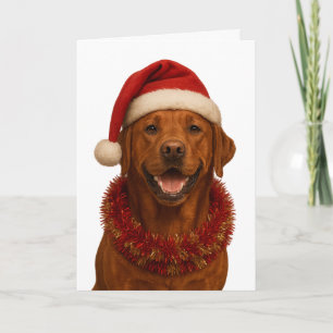 Tarjeta de Navidad de Labrador Retriever rojo zorr