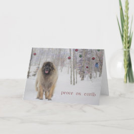 Tarjeta de Navidad de Leonberger de la paz