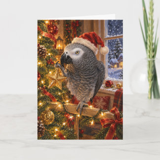 Tarjeta de Navidad de loro gris africano | Estrell