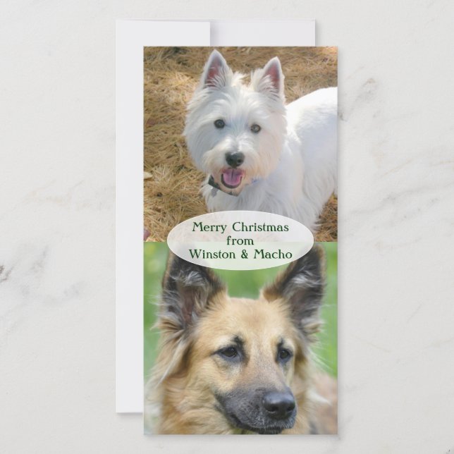 Tarjeta de Navidad de los Perros (Anverso)