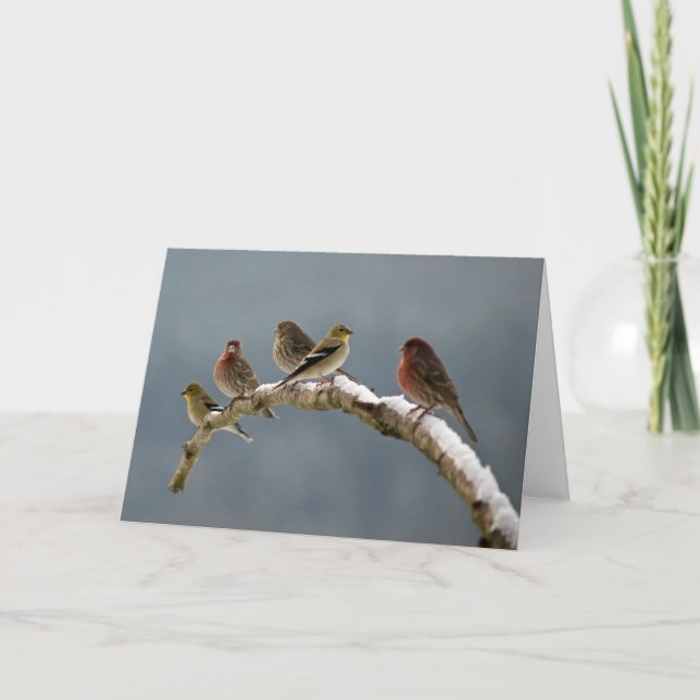 Tarjeta de Navidad de los pinzones (Anverso)