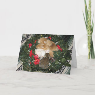 Tarjeta de Navidad de los regalos del navidad