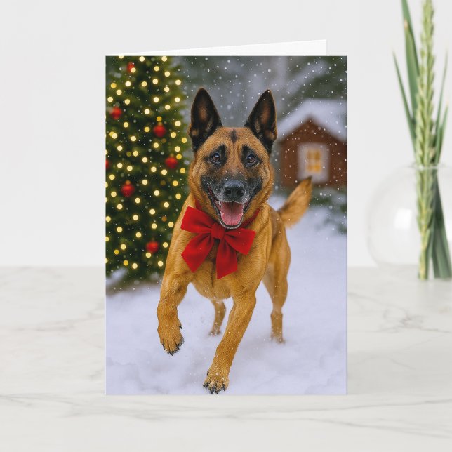 Tarjeta de Navidad de Malinois Belga (Anverso)