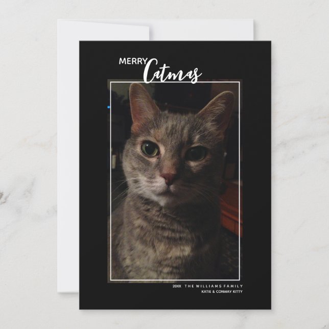 Tarjeta de Navidad de Mascotas con Foto de Gato Fe (Anverso)