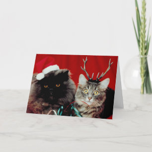 Tarjeta de Navidad de Meowy