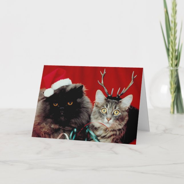 Tarjeta de Navidad de Meowy (Anverso)