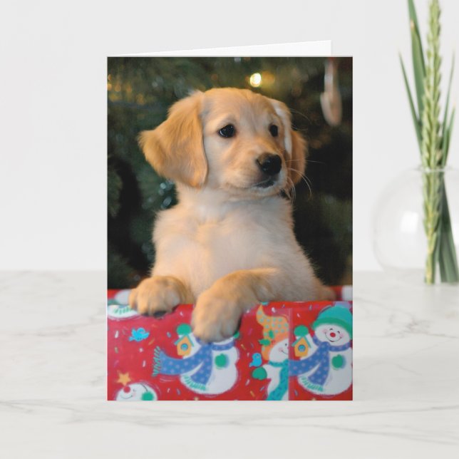 Tarjeta de Navidad de oro del presente del perrito (Anverso)