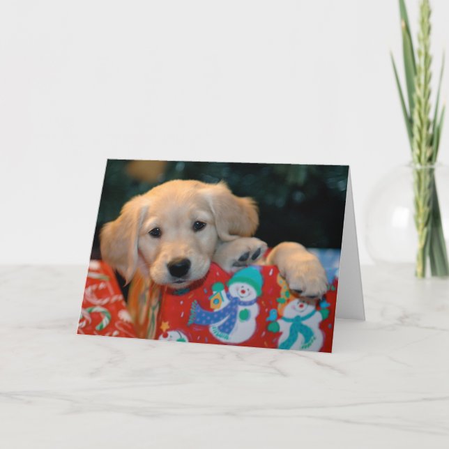 Tarjeta de Navidad de oro del presente del perrito (Anverso)