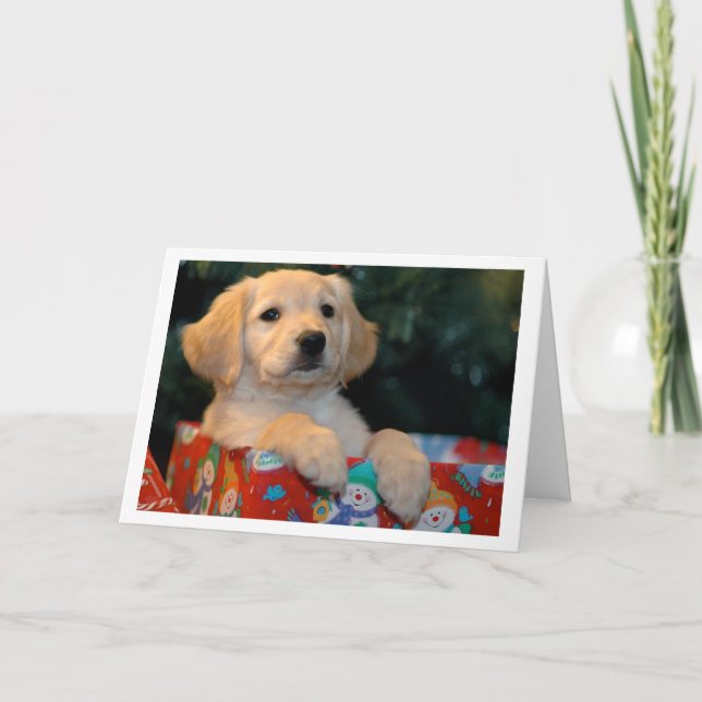 Tarjeta de Navidad de oro del regalo del perrito (Anverso)
