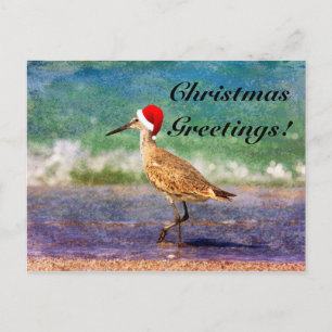 Tarjeta de Navidad de Pájaro con Sombrero de Santa