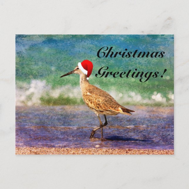 Tarjeta de Navidad de Pájaro con Sombrero de Santa (Anverso)