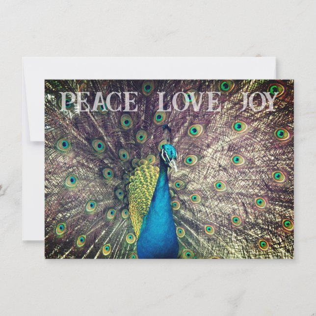 Tarjeta de Navidad de Pavo Real (Anverso)