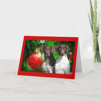 Tarjeta de Navidad de pelo corto alemana