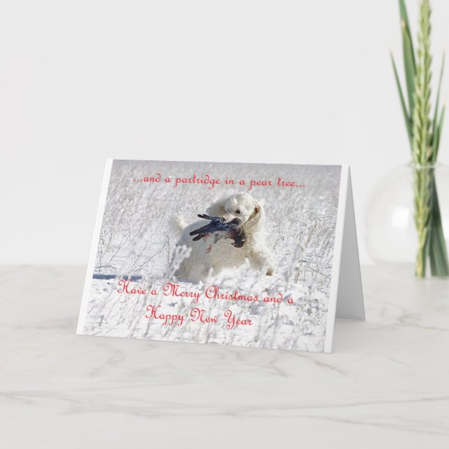 Tarjeta de Navidad de Percy (Anverso)