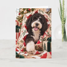 Tarjeta de Navidad de Perro de Agua Portugués