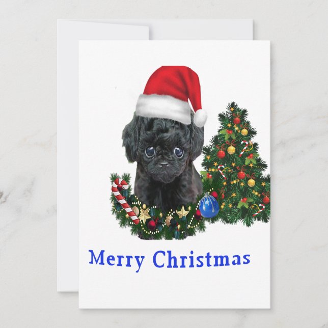 Tarjeta de Navidad de perro lindo Poodle (Anverso)