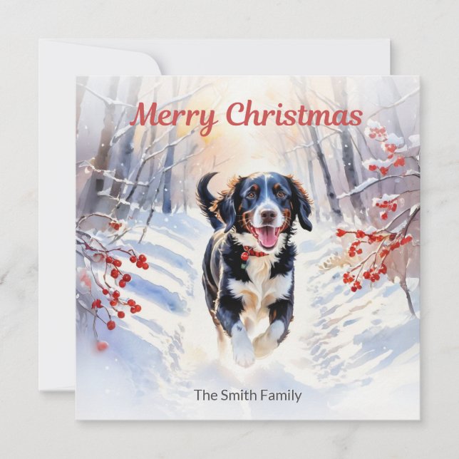 Tarjeta de Navidad de perro Springador lindo en ni (Anverso)