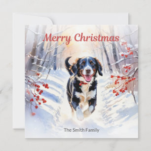 Tarjeta de Navidad de perro Springador lindo en ni