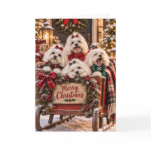 Tarjeta de Navidad de Perros Malteses