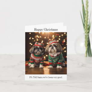 Tarjeta de Navidad de perros Shih Tzu